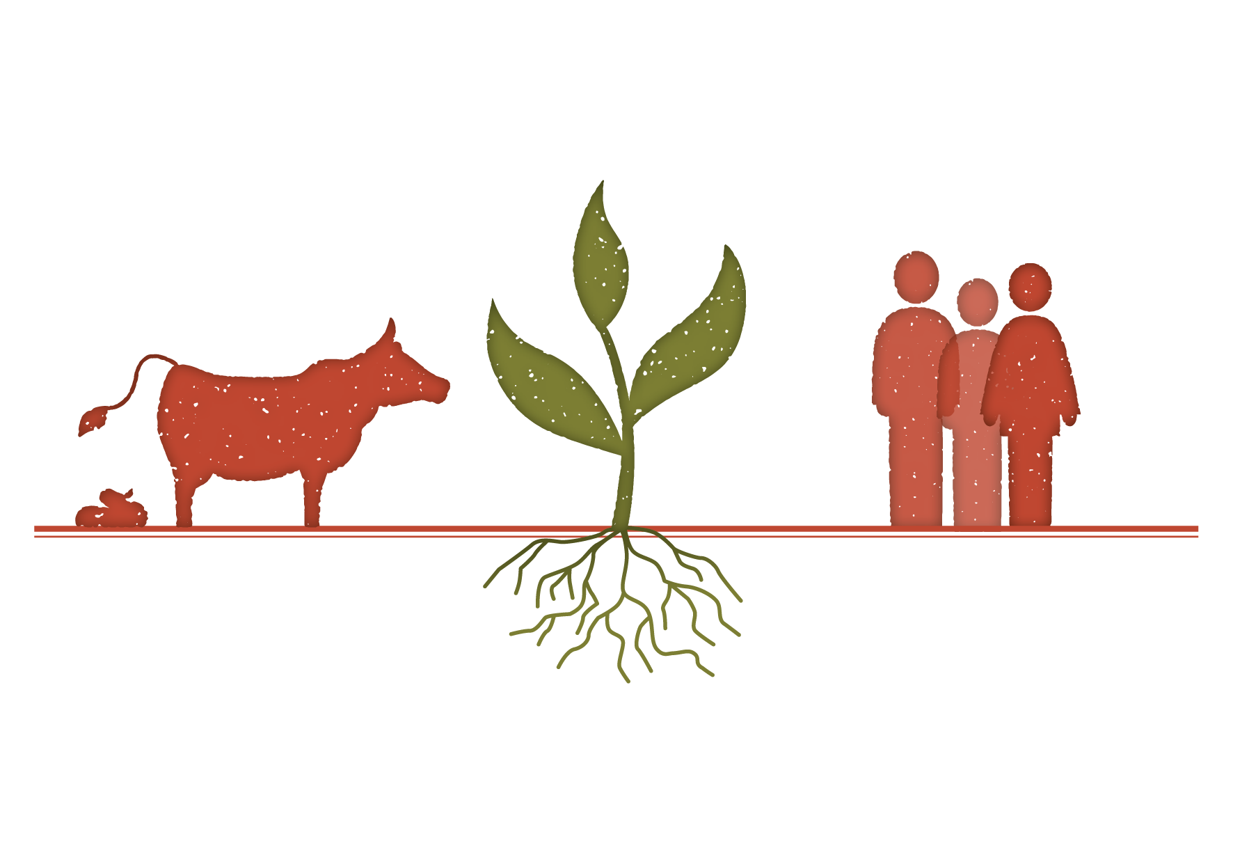 Detail der Infografik zum Phosphorkreislauf