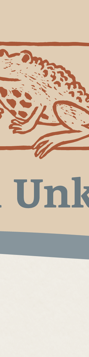 Ferienwohnung Unkengrund